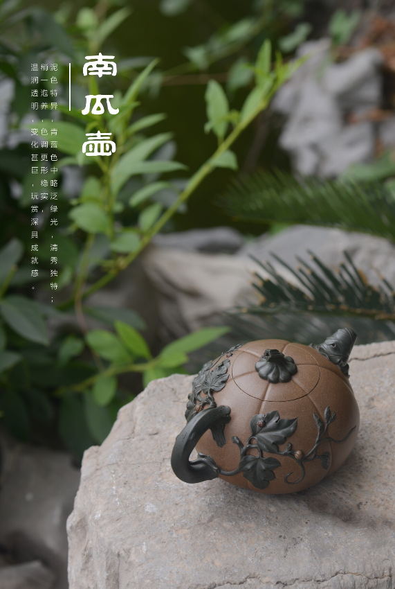 南瓜壶3.png
